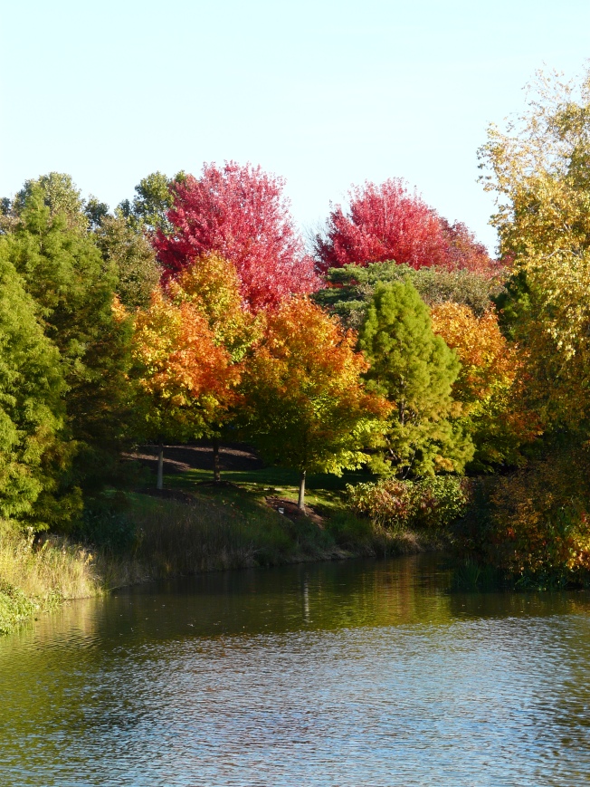 Stunning fall color